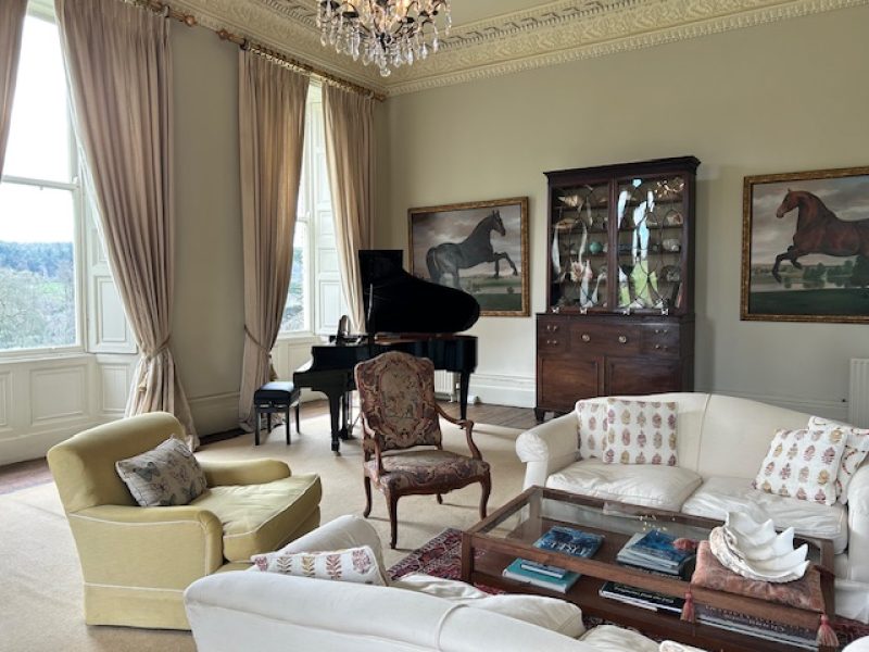 De Rocquancourt Jane - Fauteuil Points de x - OK